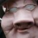 zandergwin@gmail.com