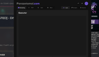 Parazetamol Fivem Cheat