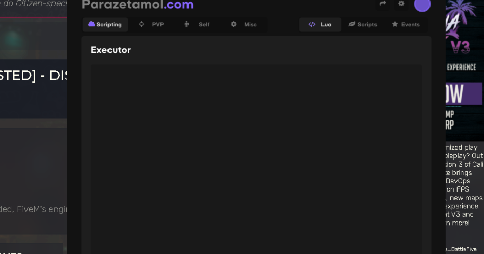 Parazetamol Fivem Cheat