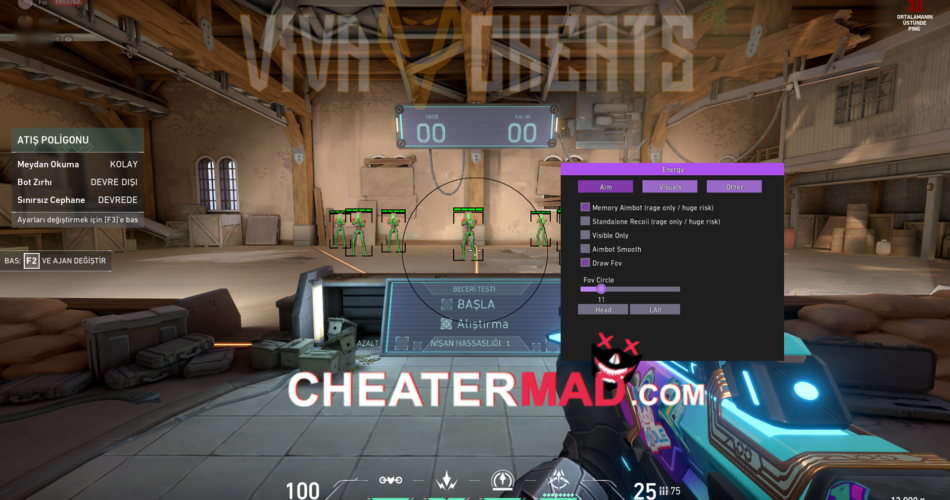 Valorant Cheat Energy