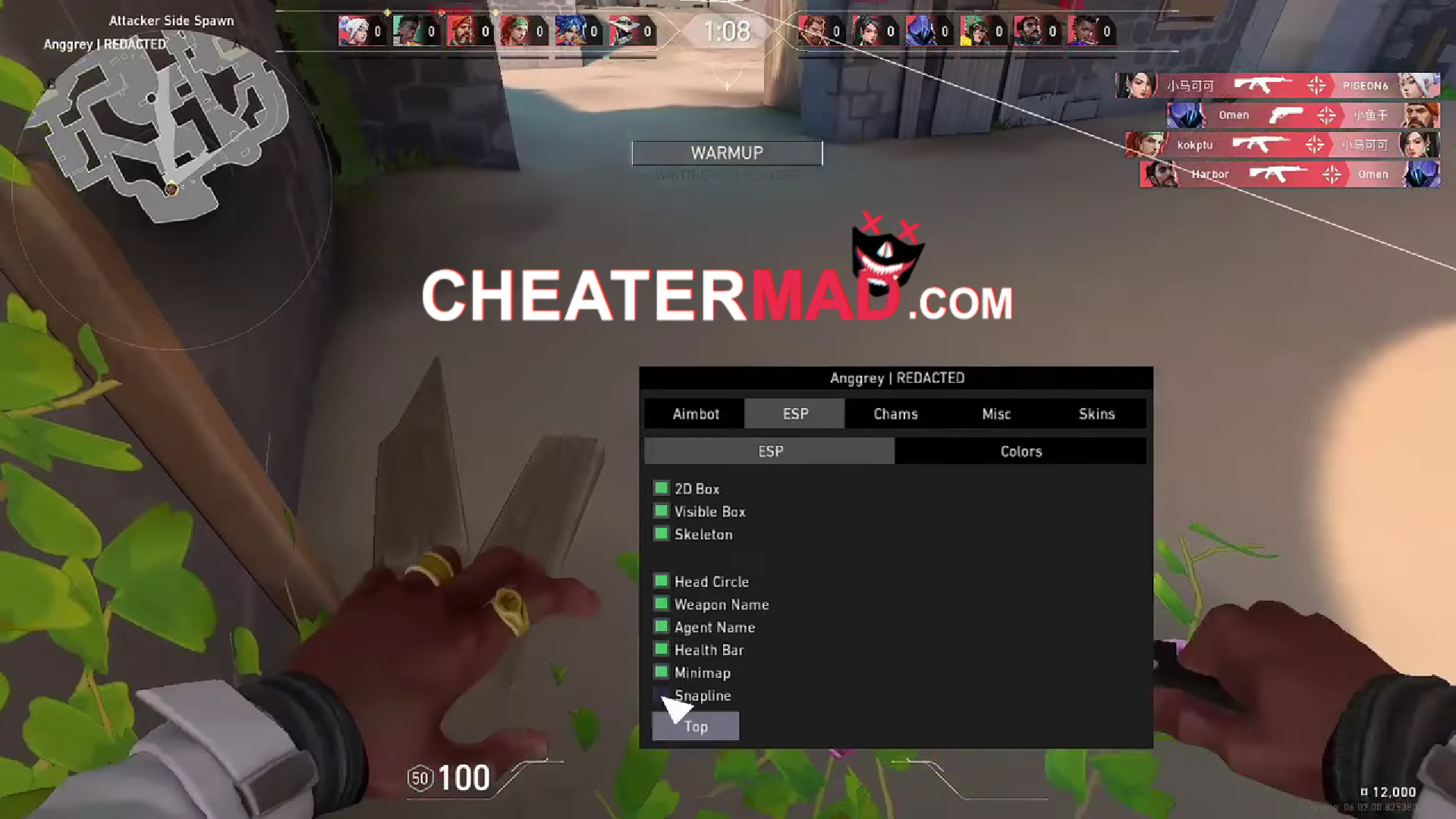 valorant internal esp & aimbot hack | ceo's den valorant cheat 2024 1 valorant internal esp