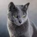 xiahakhyt@outlook.fr
