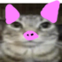 554481