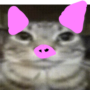 554481