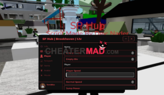 SP Hub Brookhaven RP Script