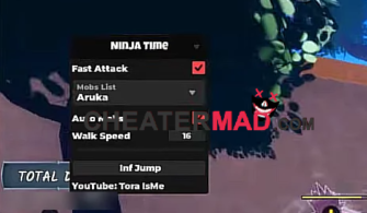 Ninja Time Script