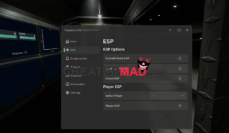 Blair Script – Esp, Teleports, Player Features