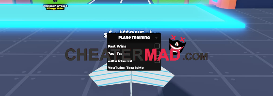 Plane Training Script