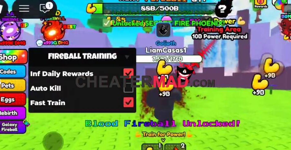 Fireball Training Script