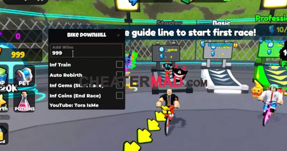 Bike Downhill Script
