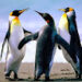 raymund17111@gmail.com