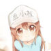 endsnower@gmail.com