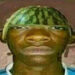 majmunotsokur@gmail.com