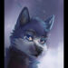 bloodywolf0000@gmail.com