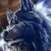 michallesniewski1111@gmail.com