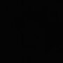 120079