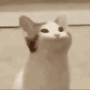 75918